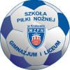 Szkoła Sportowa Piłki Nożnej